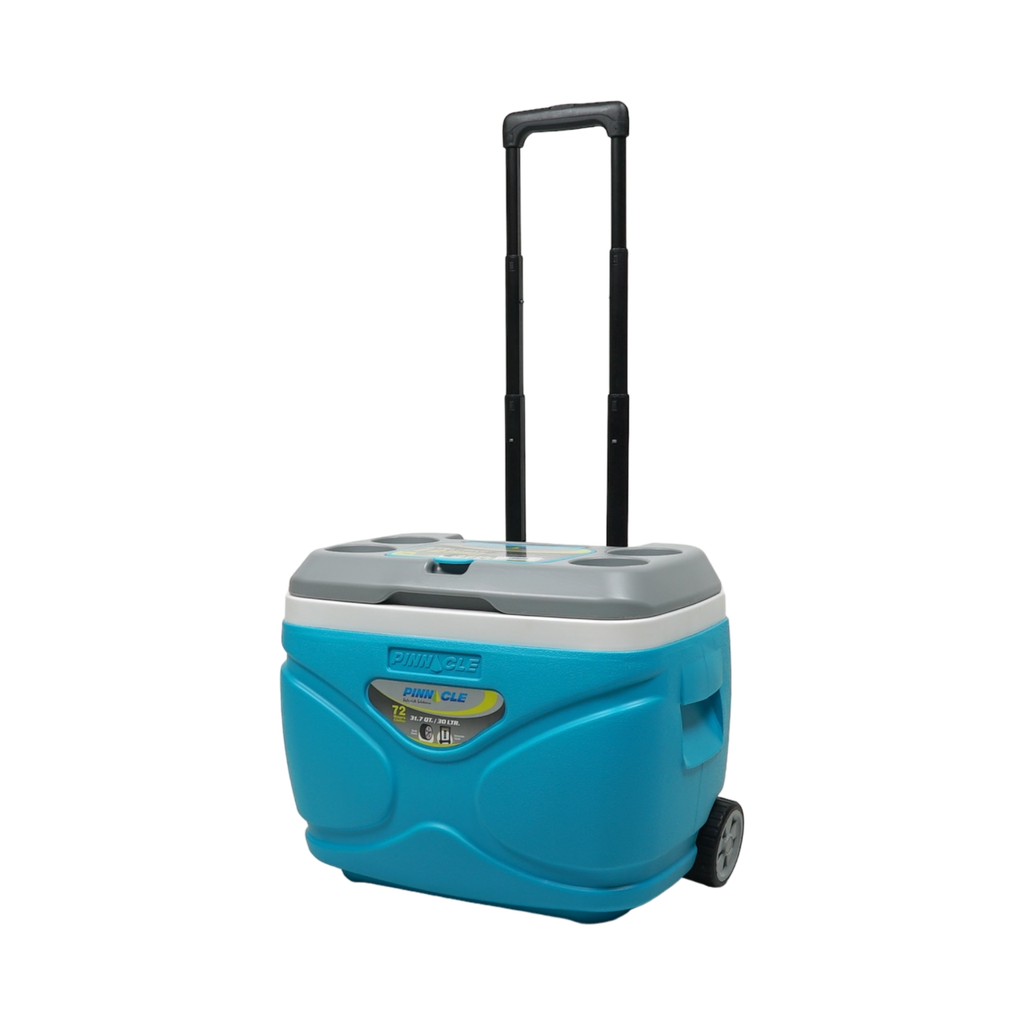 AY-Trolley ice box 30 liters TPX-3007
